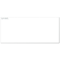 Seiko SLP-ENTL cartes nominatives 57 x 89 mm (250 cartes) 149036