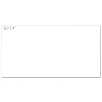 Seiko SLP-ENT étiquettes pour badges 39 x 75 mm (300 étiquettes) 149034