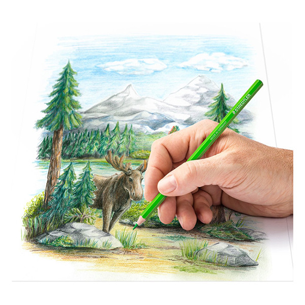 Staedtler 146C crayons de couleur (24 pièces) 209516 - 3