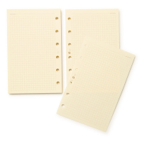 Succes Junior papier à notes quadrillé crème 100 feuilles 262208