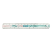 Westcott Trendsetter règle en plastique (30 cm) - rose 221083
