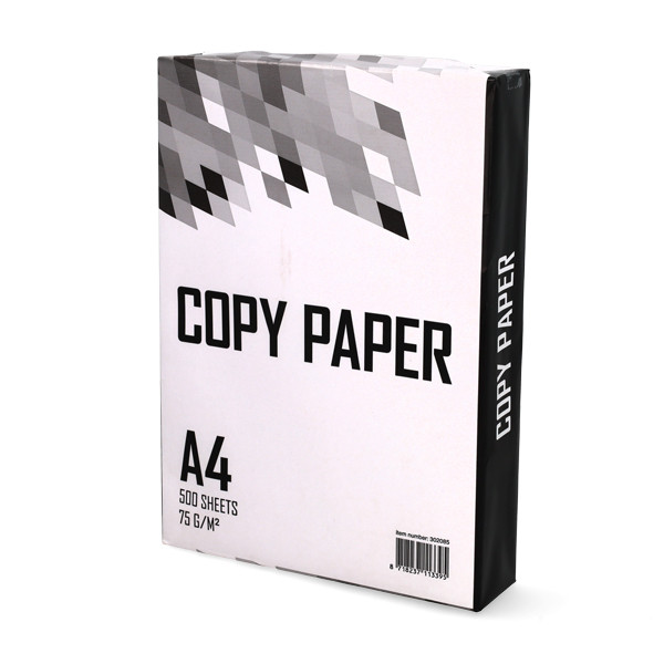 Papier d'impression A4 1 ramette de 500 feuilles – 75 g/m² 302085 - 1