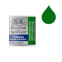 Winsor & Newton Cotman aquarelle (demi-godet) - 314 vert de Hooker clair 410482