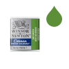 Winsor & Newton Cotman aquarelle (demi-godet) - 599 vert de vessie 410499 - 1