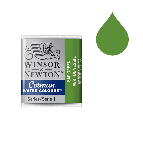 Winsor & Newton Cotman aquarelle (demi-godet) - 599 vert de vessie 410499 - 1