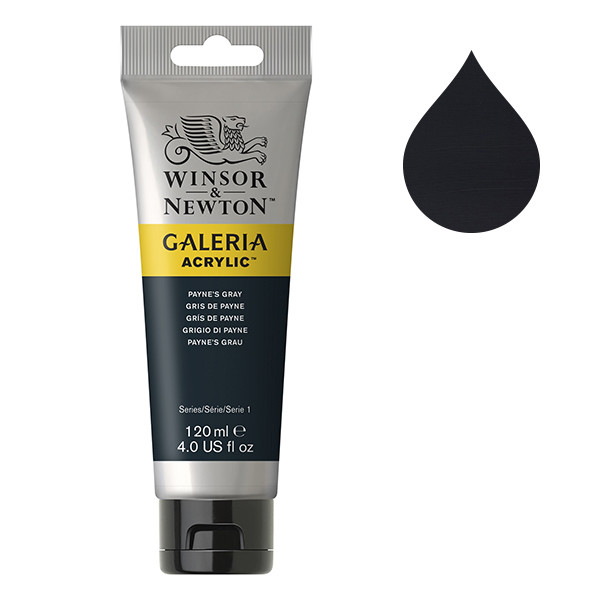 Winsor & Newton Galeria peinture acrylique (120 ml) - 465 gris de Payne 410152 - 1