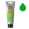 Winsor & Newton Galeria peinture acrylique (120 ml) - 483 vert permanent clair 410155 - 1