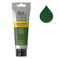 Winsor & Newton Galeria peinture acrylique (120 ml) - 599 vert de vessie 410170
