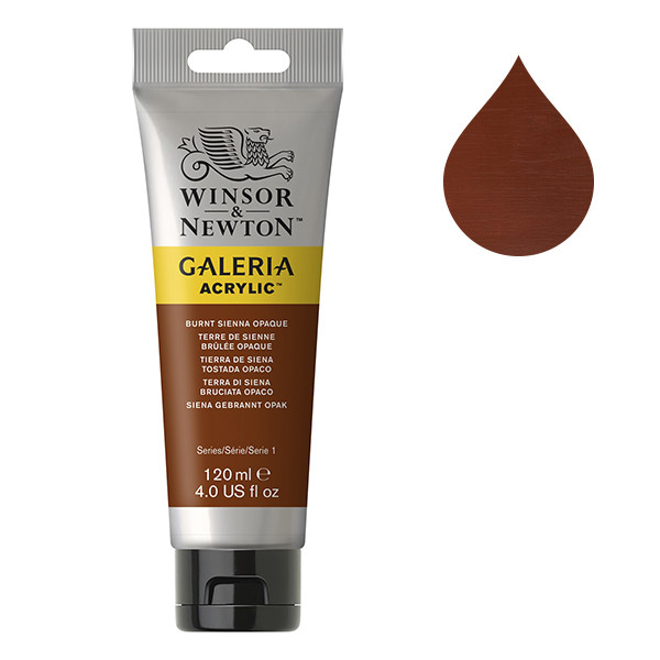 Winsor & Newton Galeria peinture acrylique (120 ml) - 77 terre de Sienne brûlée opaque 410123 - 1