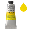 Winsor & Newton Galeria peinture acrylique (60 ml) - 114 nuance de jaune de cadmium pâle