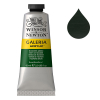 Winsor & Newton Galeria peinture acrylique (60 ml) - 311 vert hooker 410018 - 1