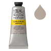 Winsor & Newton Galeria peinture acrylique (60 ml) - 438 terre d'ombre pâle 410030 - 1