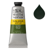 Winsor & Newton Galeria peinture acrylique (60 ml) - 447 vert olive 410025 - 1
