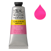 Winsor & Newton Galeria peinture acrylique (60 ml) - 448 rose opéra 410026 - 1