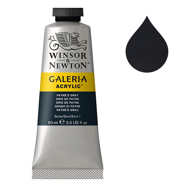 Winsor & Newton Galeria peinture acrylique (60 ml) - 465 gris de Payne 410032 - 1