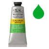 Winsor & Newton Galeria peinture acrylique (60 ml) - 483 vert permanent clair 410035 - 1