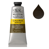Winsor & Newton Galeria peinture acrylique (60 ml) - 554 terre d'ombre naturelle 410048