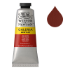 Winsor & Newton Galeria peinture acrylique (60 ml) - 564 ocre rouge