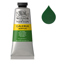 Winsor & Newton Galeria peinture acrylique (60 ml) - 599 vert de vessie 410050