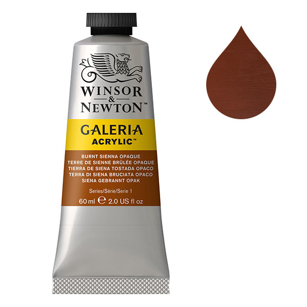 Winsor & Newton Galeria peinture acrylique (60 ml) - 77 terre de Sienne brûlée opaque 410003 - 1