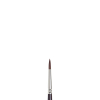 Winsor & Newton Galeria pinceau pour l'acrylique rond (numéro 5) 410246 - 1