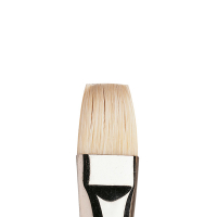 Winsor & Newton Winton pinceau brosse plate courte pour peinture à l'huile (numéro 12) 410444