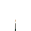Winsor & Newton Winton pinceau brosse plate courte pour peinture à l'huile (numéro 1) 410442 - 1