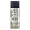 Winsor & Newton vernis brillant en aérosol pour peinture à l'huile (400 ml) 410374 - 1