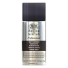 Winsor & Newton vernis mat en aérosol pour peinture à l'huile (150 ml) 410392 - 1