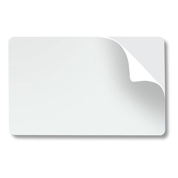 Zebra 104523-010 cartes PVC (500 pièces) - blanc 141570 - 1