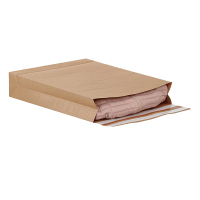 e-Green pochette à fond plat 400 x 500 x 100 autocollant (100 pièces) - brun 209420